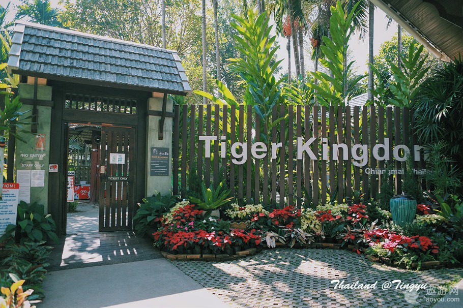 旅游攻略泰国免费,攻略带你了解最美的泰国景点