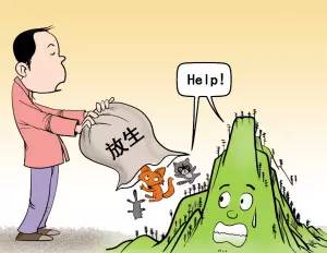 一些人其实是放生实则是杀生,放生又杀生有什么罪过