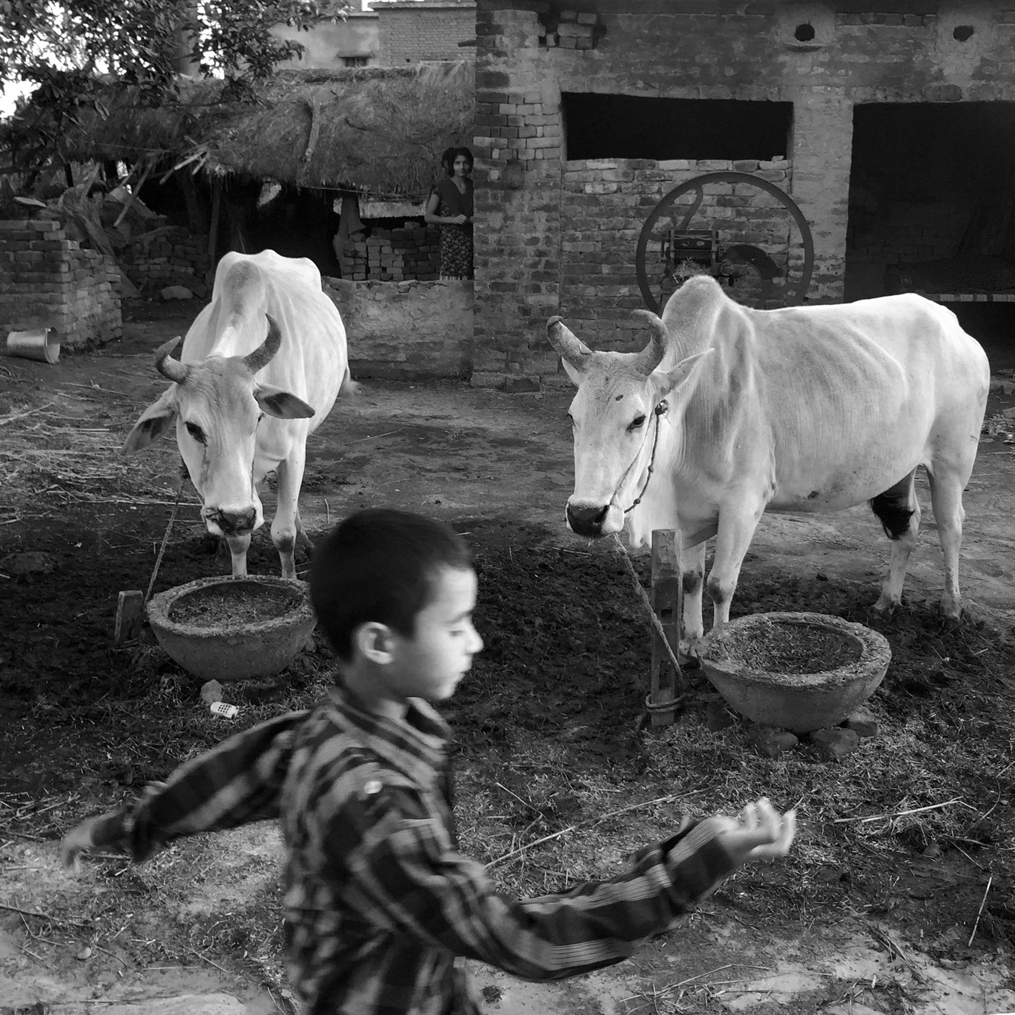 手机摄影如何拍出唯美感,手机摄影怎么拍出纵深感