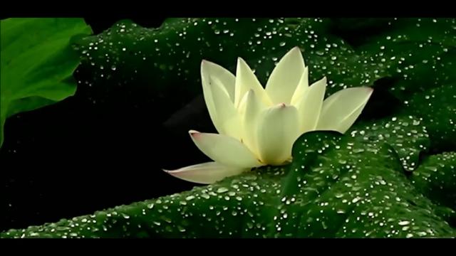 老年人过世后社保卡怎么处理,老人去世了社保卡里钱怎么取