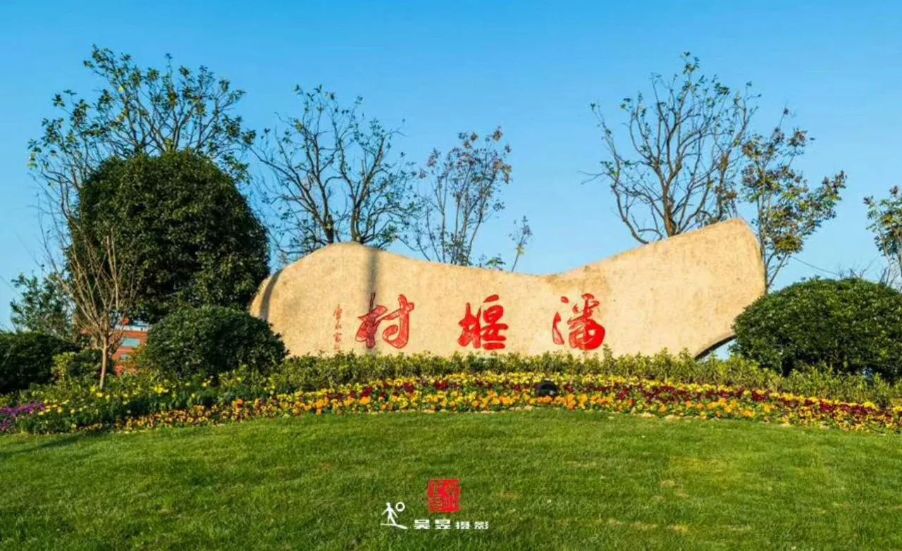 富阳金沙岛花海,富阳花海网红景点