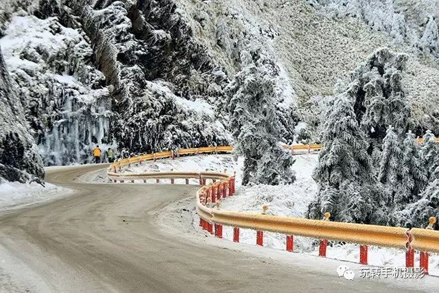 有手就会拍的构图技巧,向心式构图作品怎样拍