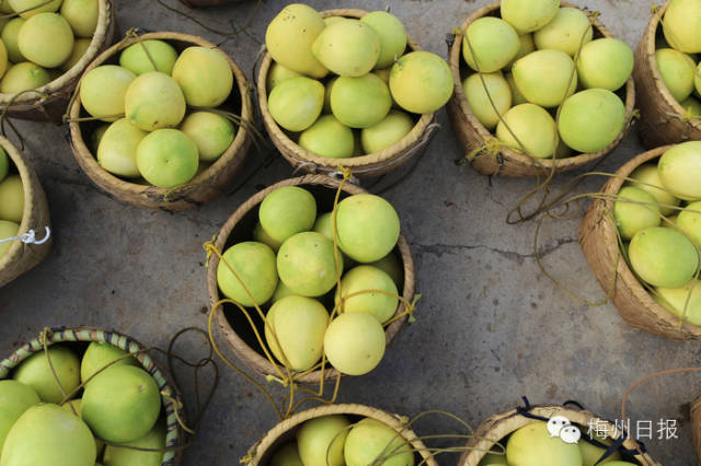 关注广东暴雨,关注广东梅州暴雨
