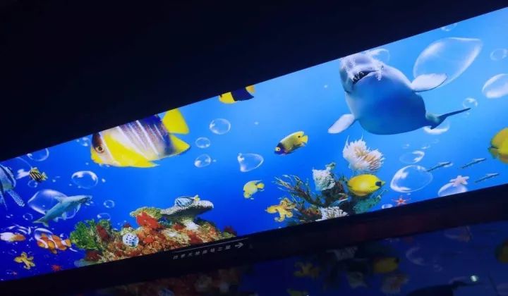 閲戦箙姘存棌,閲戦箙姘存棌涓婚椁愬巺