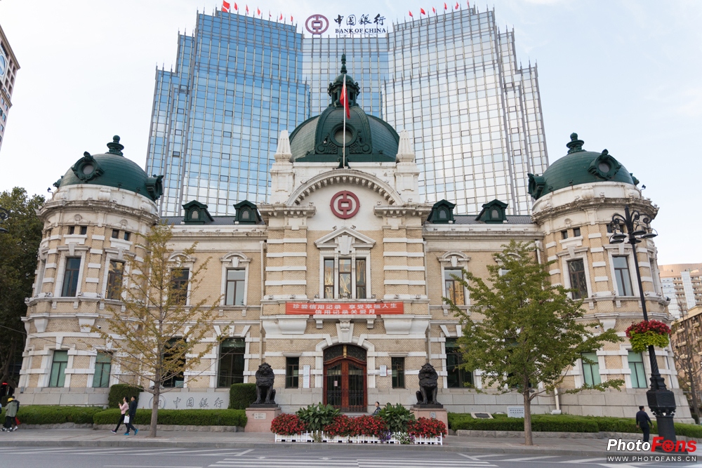 带上跑鞋去旅行,带着马去旅游的车