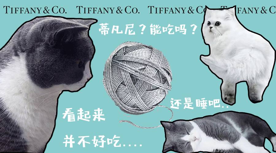 买不起的毛线球,8万7的tiffany毛线球
