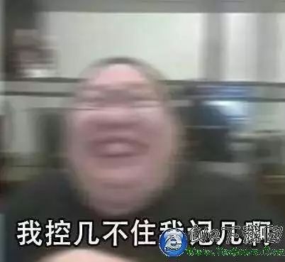 夏威夷果狗吃了怎么办,狗可以吃夏威夷果吗