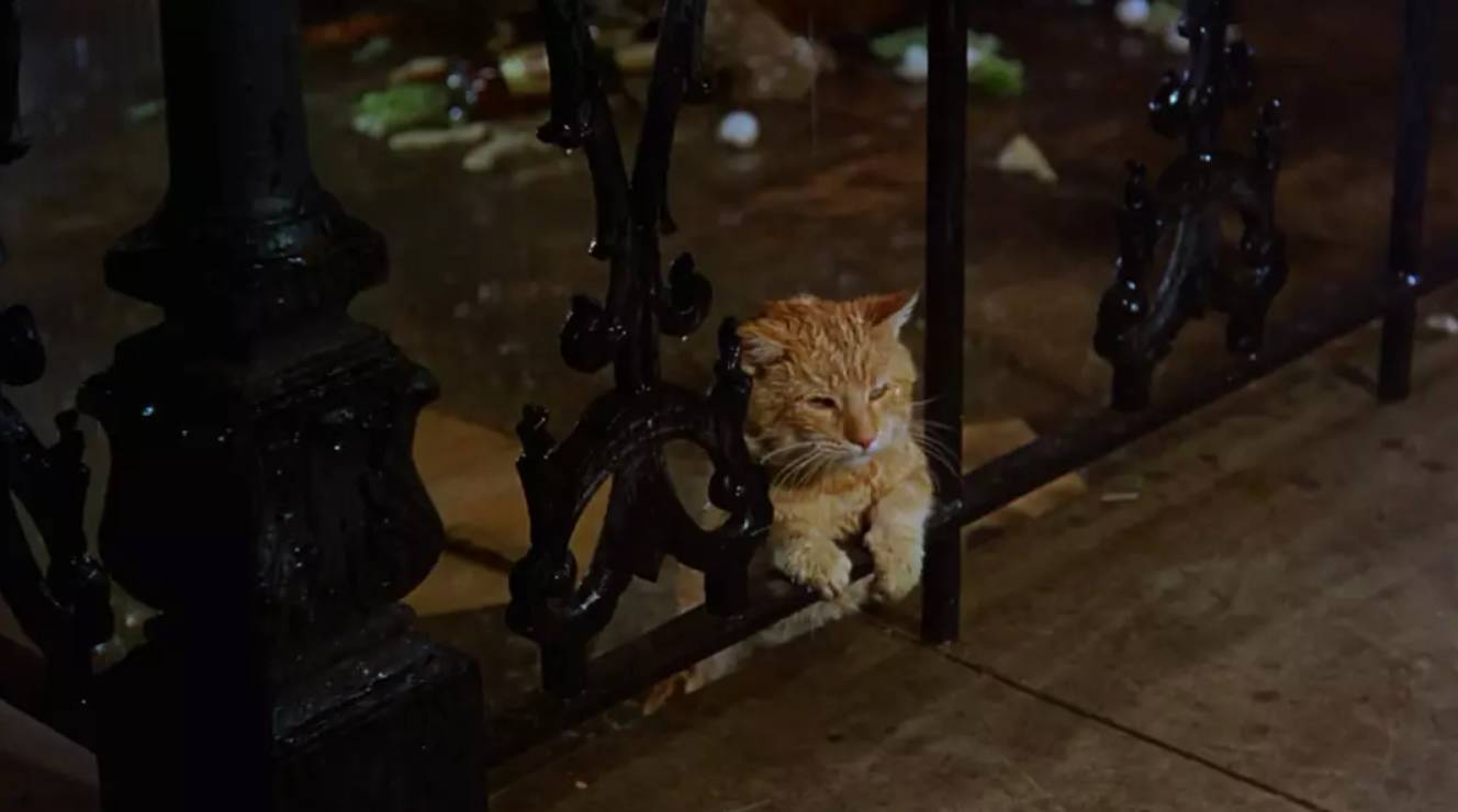 买不起的毛线球,8万7的tiffany毛线球