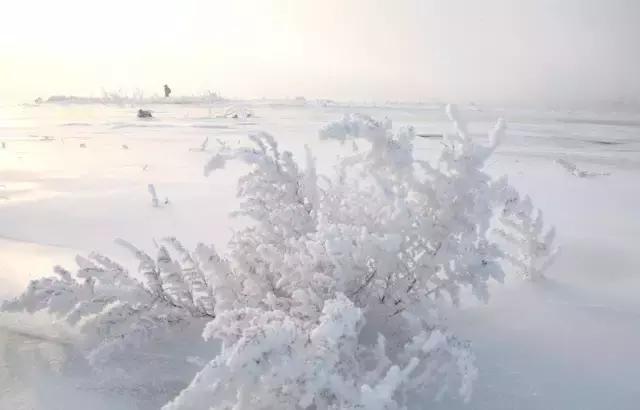 美有很多种自然美才是真正的美,美有很多种分别是什么美