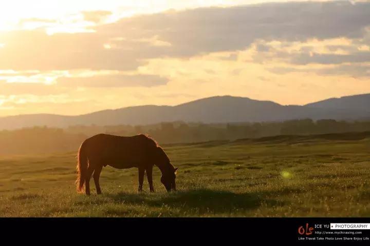 小马过河告诉我们什么意思,小马过河这一课告诉我们什么