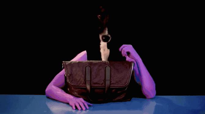 傲娇的老佛爷也要每天看Ta脸色