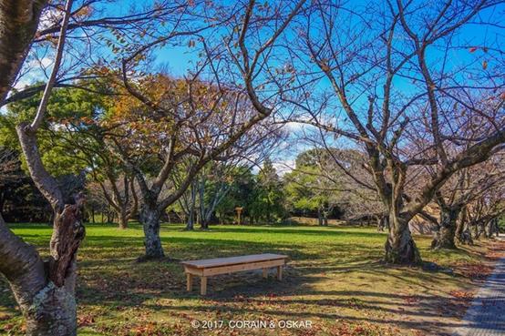 索尼黑卡迷你rx0相机,索尼黑卡rx0m2防抖