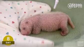 12月旅游最佳之地国内,国内1-12月最佳旅行地推荐