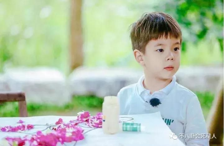 爸爸去哪儿5第3期视频直播,综艺爸爸去哪儿第六季妈妈探班