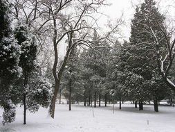 四大食疗方解决上班族疲劳,工作劳累解乏抗疲劳的食物