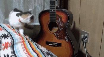 如何用一句话激怒吉他手？