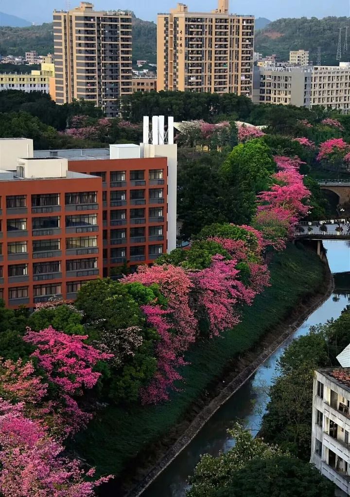 华软科技的趋势,华软科技有多厉害