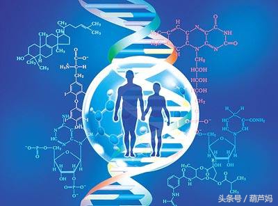 怀孕饮食禁忌辟谣,怀孕怎么补肾气