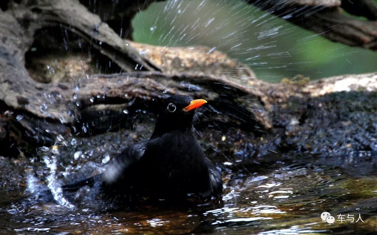 腾冲一个清净古朴的边陲小城,腾冲避暑旅居推荐