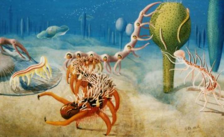 寒武纪有哪些奇怪的生物,寒武纪生物大爆发最主要特征