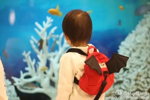 两大一小广州长隆亲子游攻略,最新广州长隆带娃游玩攻略2天