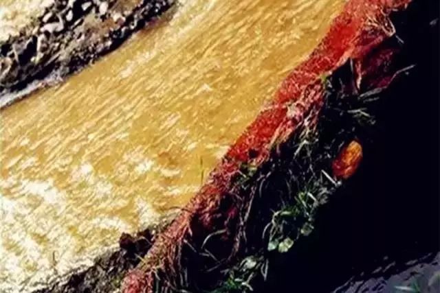 我美丽的家乡弥渡,我的家乡弥渡作文