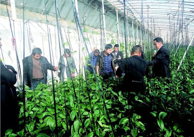 农闲时节充电拓宽致富渠道,农闲时节赚钱忙