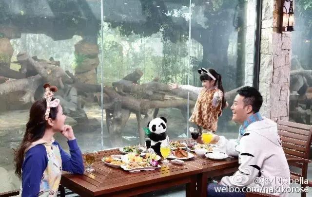 广州长隆亲子游最省钱攻略,广州长隆亲子游最全游玩攻略