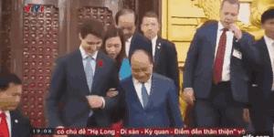 特鲁多加拿大视频,特鲁多在加拿大形象