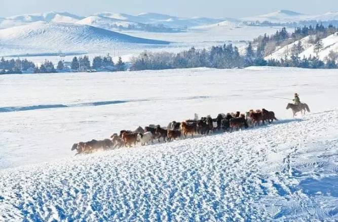 冬天值得去的旅游景点自驾游,冬季值得去旅游的十大地方