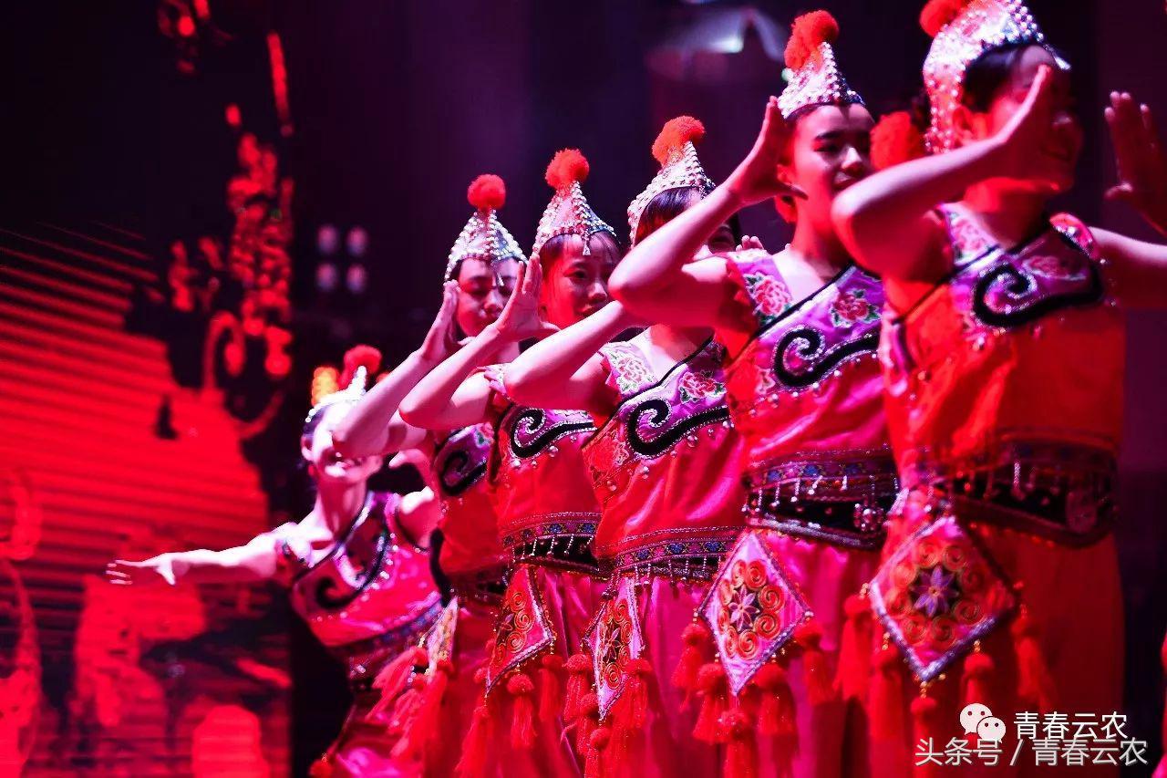 社团嘉年华会场,社团嘉年华图片大全