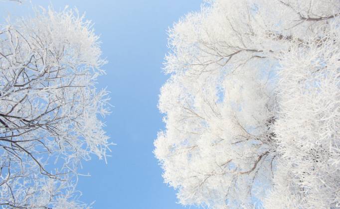 冬天值得去的旅游景点自驾游,冬季值得去旅游的十大地方