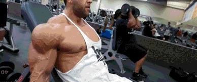 后束肌肉训练方法,后束训练三头发力