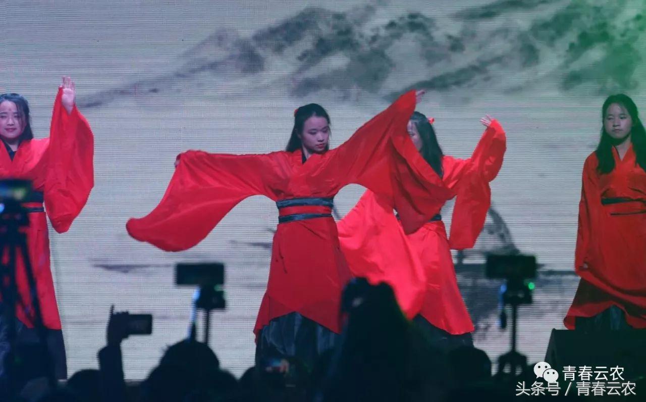 社团嘉年华会场,社团嘉年华图片大全