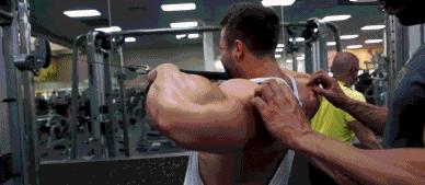 后束肌肉训练方法,后束训练三头发力