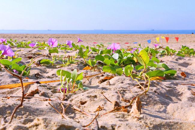 三亚市最美的景色拍摄,拍摄美丽三亚