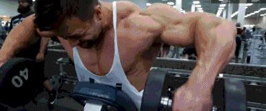 后束肌肉训练方法,后束训练三头发力