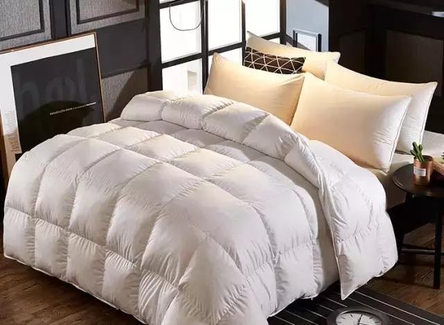 谢谢你们这么温暖,让我差点忘记了找男朋友!