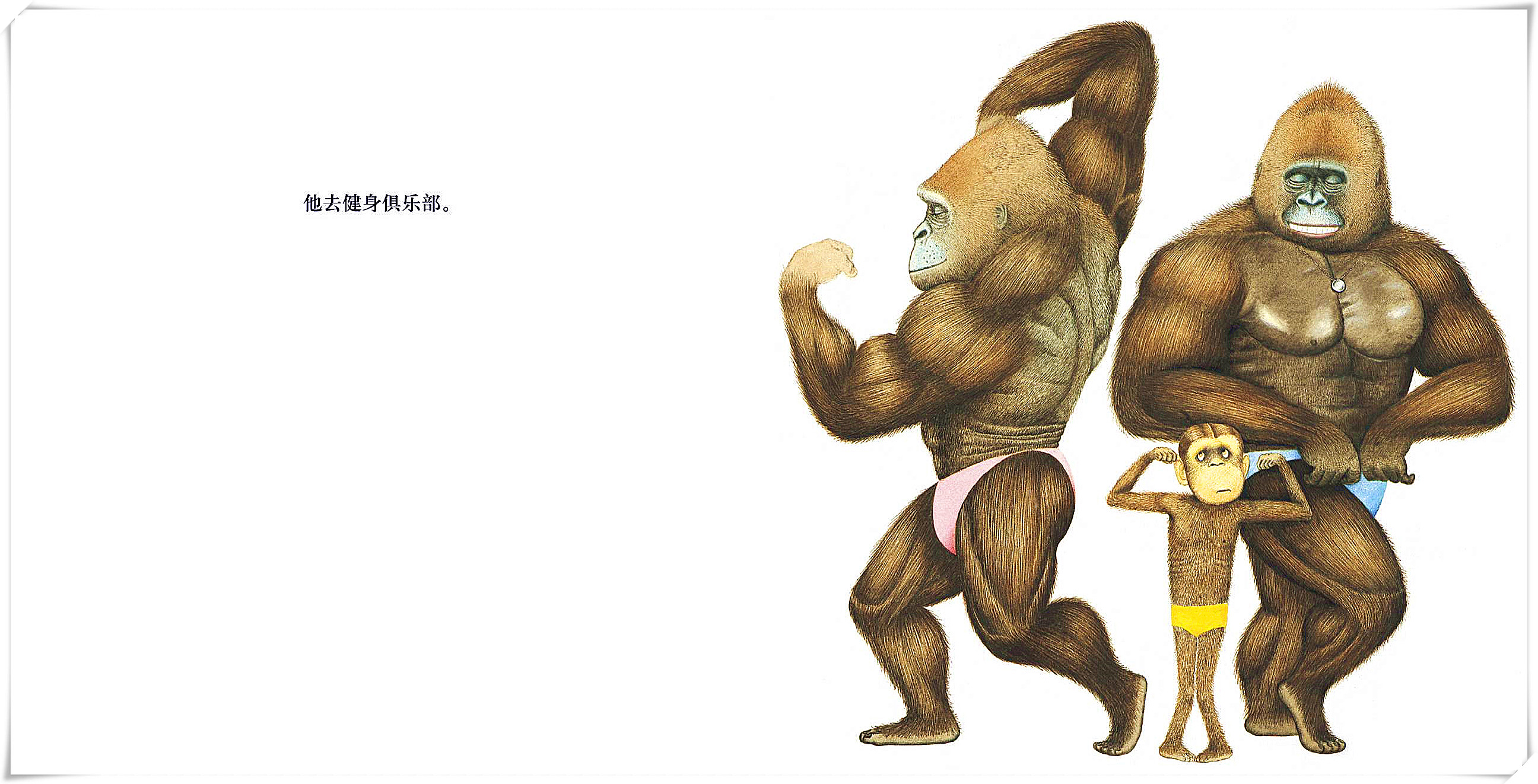 强壮才是找回自信的捷径—《胆小鬼威利》导读