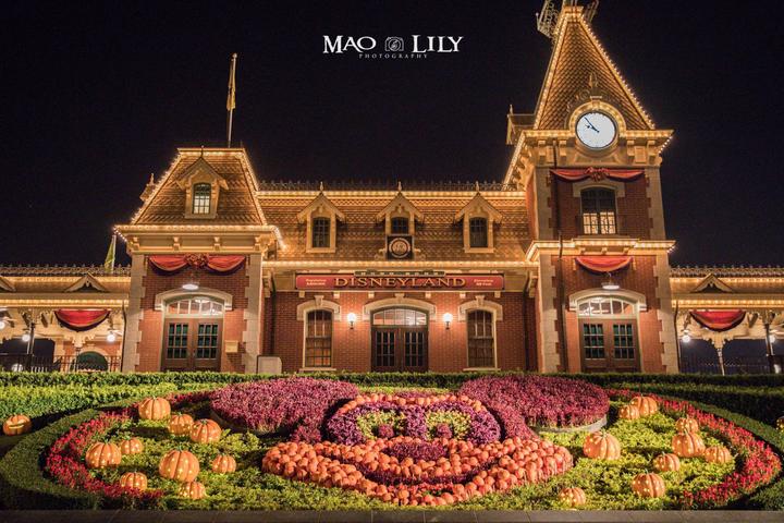 一天玩转香港迪士尼乐园全攻略,迪士尼乐园香港攻略