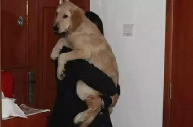 谢谢你们这么温暖,让我差点忘记了找男朋友!