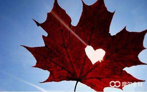 说说你的炒股经历吧,说说我的炒股生涯