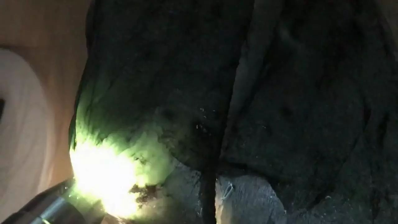 6000入手的莫西沙翡翠原石,2万拿下的莫西沙翡翠原石