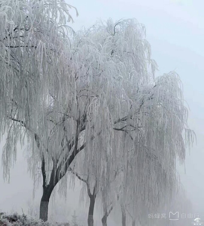 漠河旅游包车全景图,漠河旅游包车拼车攻略