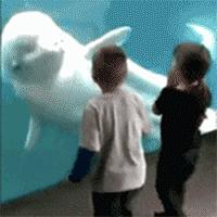 国外ktv都是中国人开的吗,国外的ktv风格