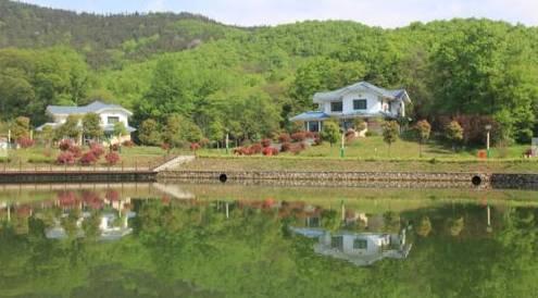 离城市不远靠自然很近,离城市不远却离自然很近完整版