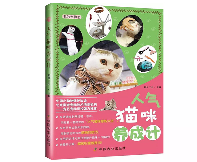 这都不知道，还敢说你会养猫？