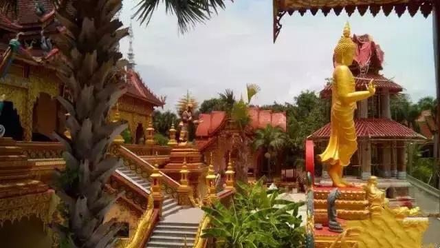 多彩的西双版纳,多彩云南版纳