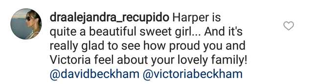 贝克汉姆小七踢足球,贝克汉姆小七欧洲杯