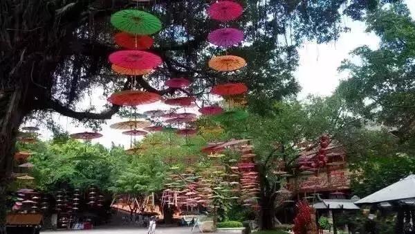 多彩的西双版纳,多彩云南版纳